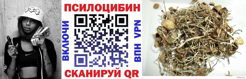 где продают наркотики Дербент Галлюциногенные грибы ЛСД